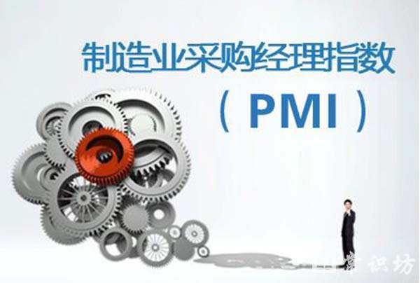 pmiָʲô˼