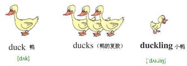 duckʲô˼