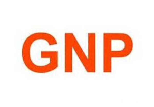 gnpʲô˼